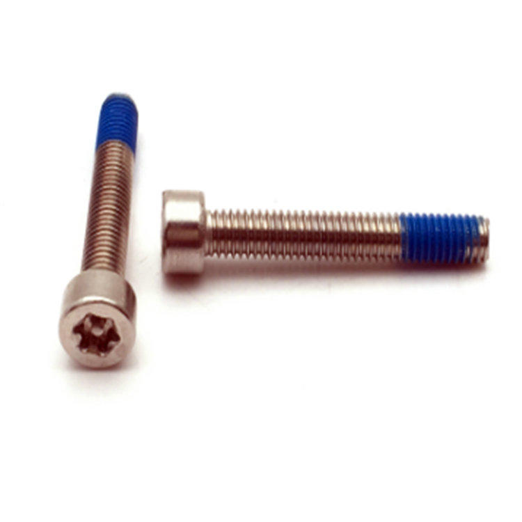 M5 ISO14579 keluli tahan karat 304 bolt kunci kunci torx bersalut nilon
