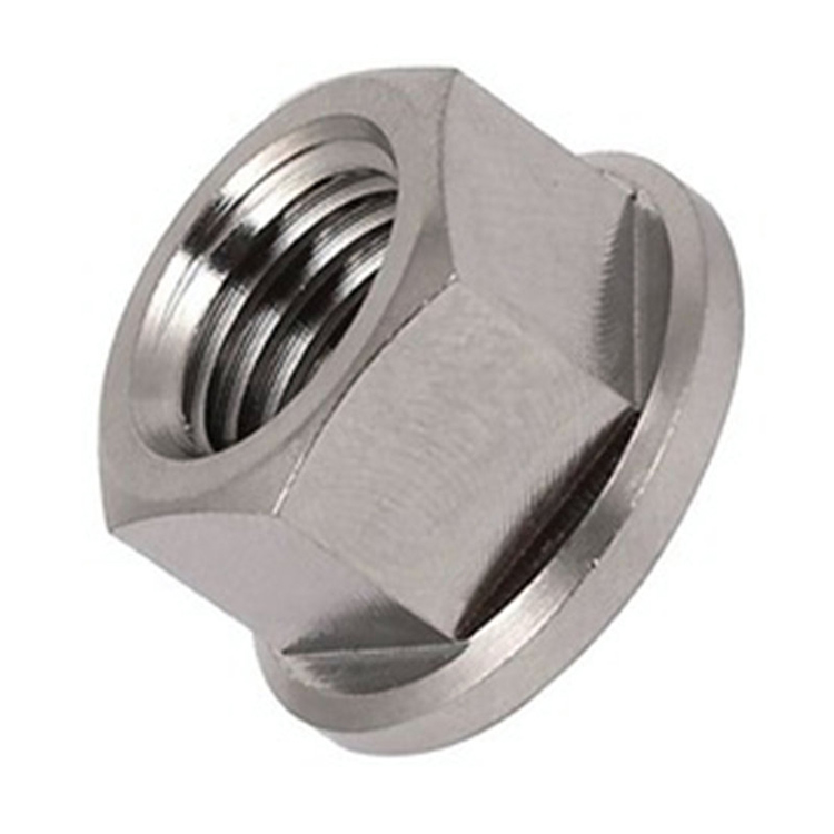 Kacang Flange Titanium Hexagon