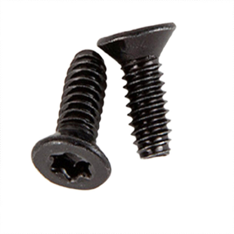 Kepala keluli tahan karat Torx Countersunk Electronics Micro screw