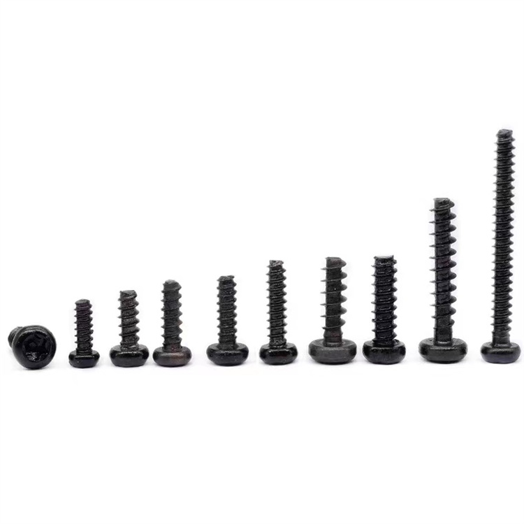 Keluli karbon hitam m4 torx pan head self tapping screws